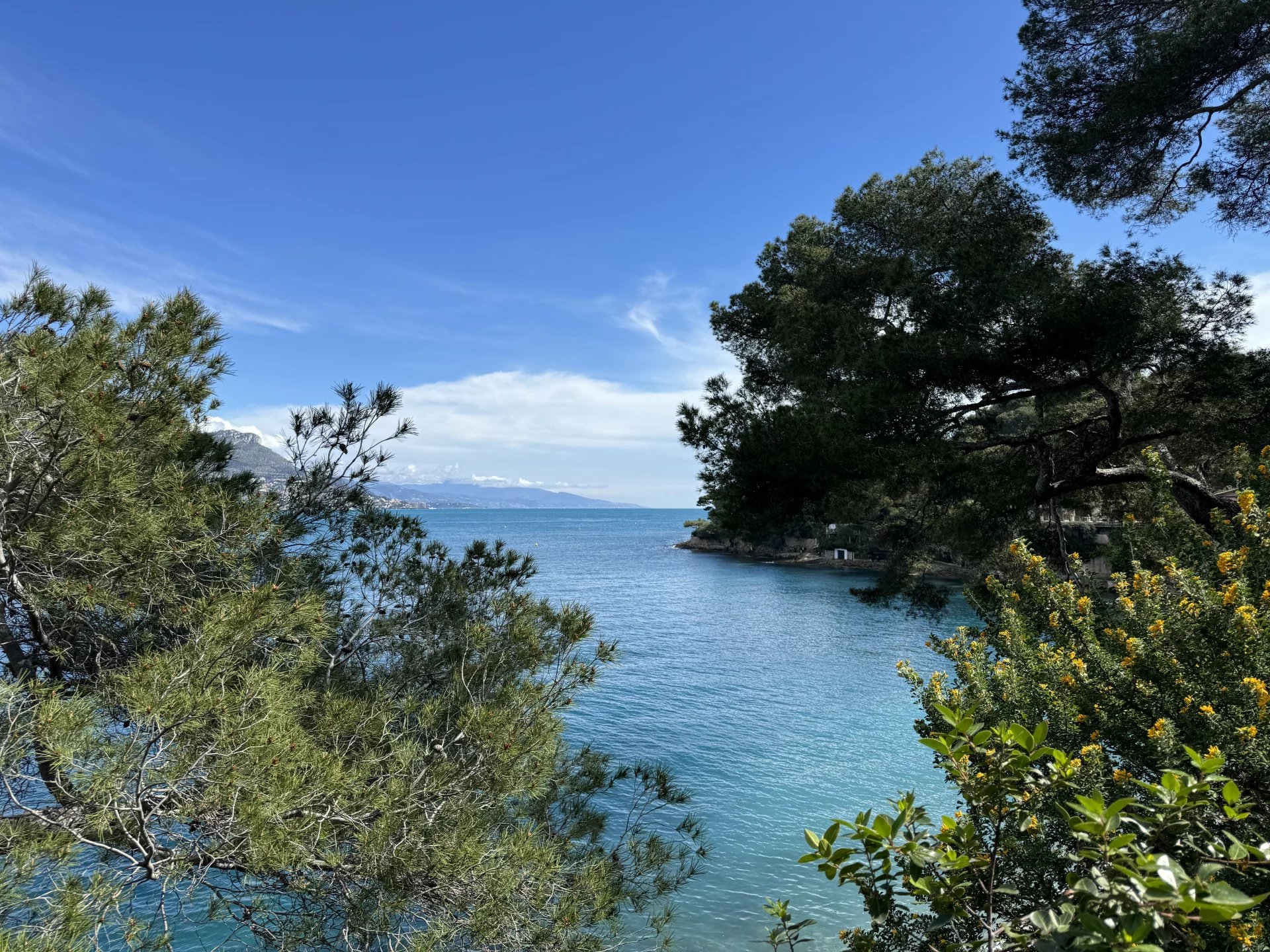 Villa de luxe 333 m2 avec vue mer - RFC49280624VV