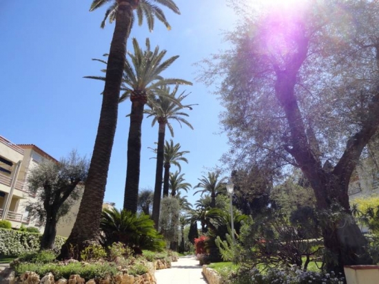 Superbe appartement de 3 chambres