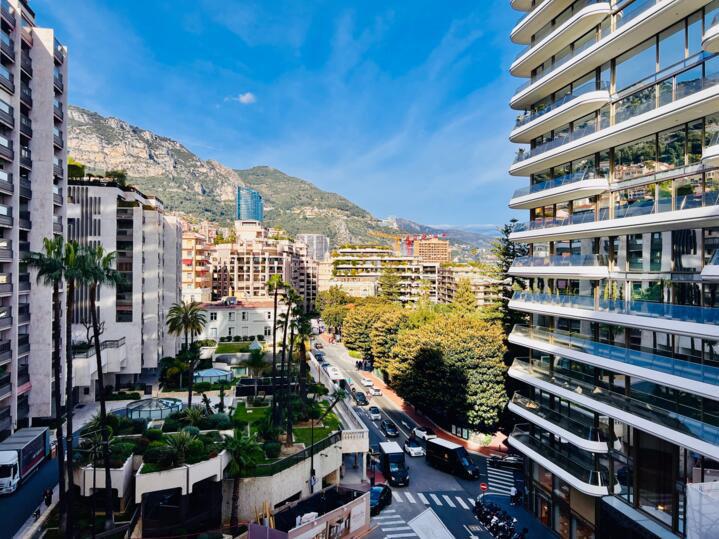 Elégant appartement 163 m2 à Park Palace - RFC49560824AV