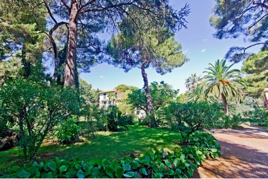 Vente terrain unique de terrain avec permis de construire et projet prêt