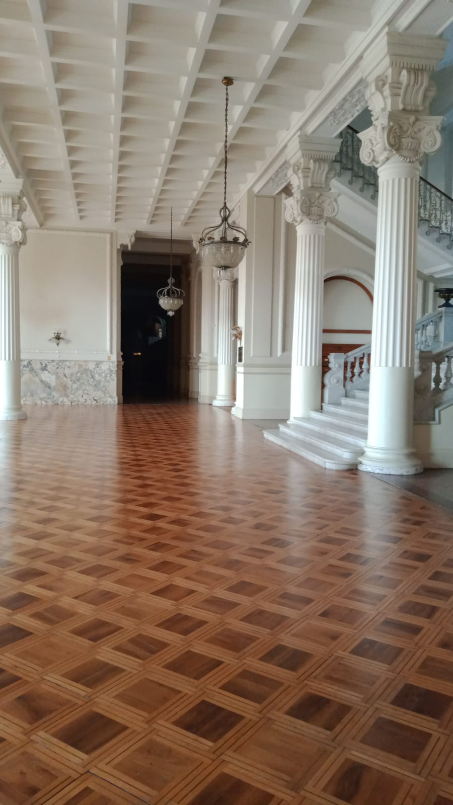 Appartement 140 m2 à Regina Palace - RFC46070223AV