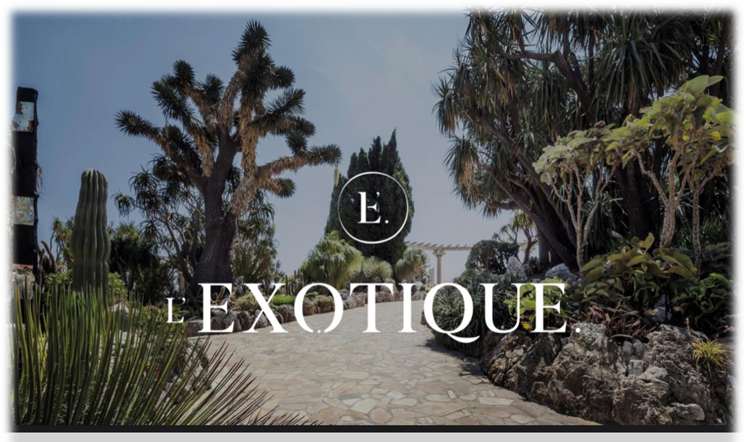 Appartement 181 m2 avec vue mer à L'Exotique - RFC45191222AV