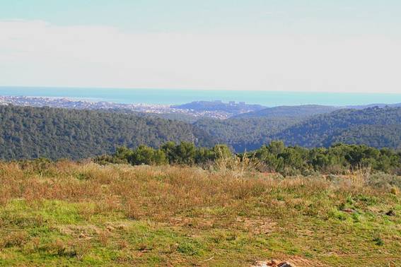 A vendre terrain exclusif à Roquefort-les-Pins