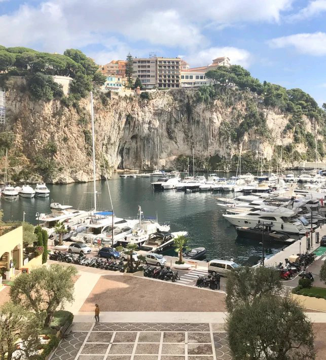 Appartement 195 m2 avec vue sur le port de Fontvieille - RFC47370623AV