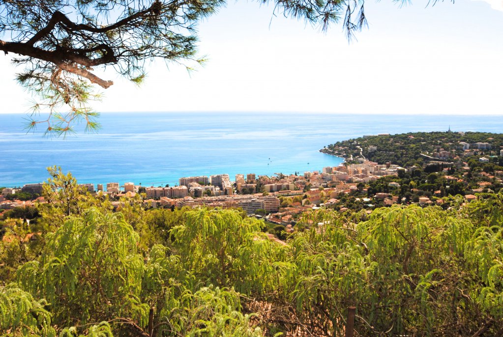Villa provençal sur les hauteurs de Roquebrune - RFC31040117VV