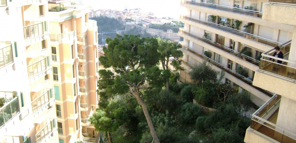 Vente appartement rénové