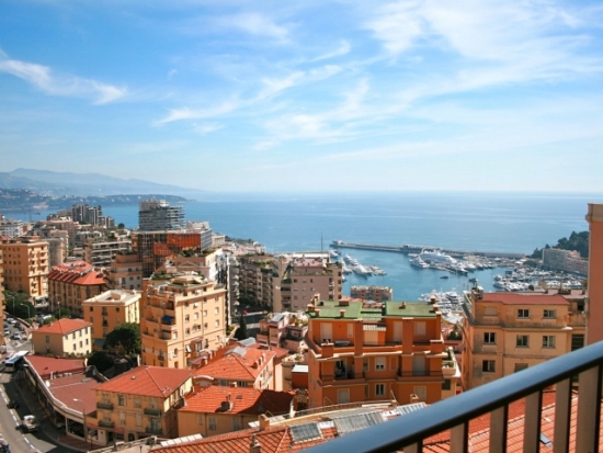 Bel appartement avec vue mer