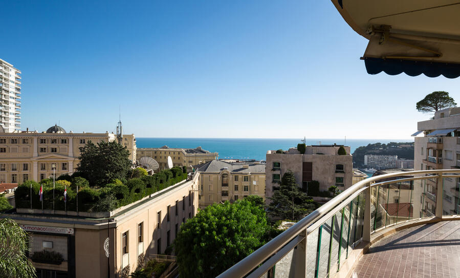 Appartement à quelques pas des jardins du Casino Monte-Carlo - RFC43020921AV