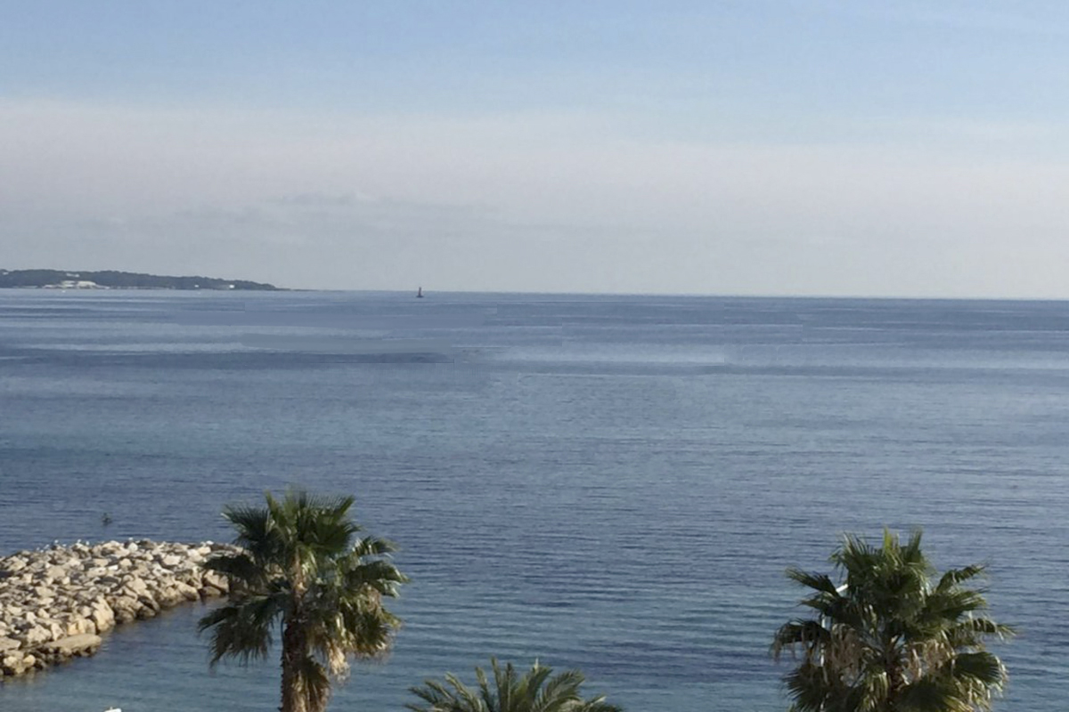 Vente Appartement à Cannes Palm Beach
